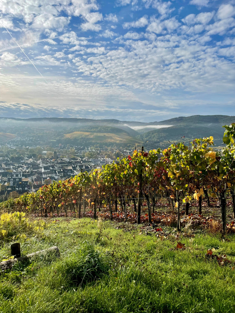 weinlagen picture