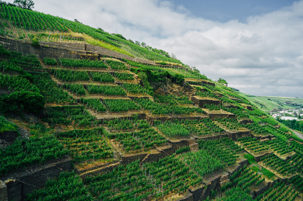 weinlagen picture